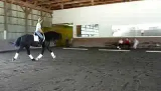 Ster Friesian Mare with Sabine Shut-Kery riding