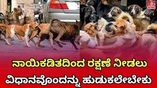 Dog bite protection : ಸಾರ್ವಜನಿಕರಿಗೆ ನಾಯಿಕಡಿತದಿಂದ ರಕ್ಷಣೆ ನೀಡಲು ವಿಧಾನವೊಂದನ್ನು ಹುಡುಕಲೇಬೇಕು | News
