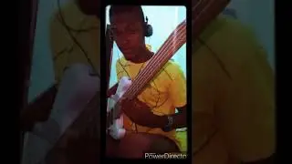 Grillo Bass - CHIC CHEER