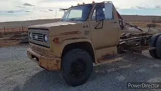 Chevy C60 cab & Chassis