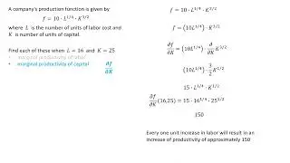 partial derivative in economics LESSON