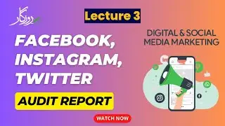 Facebook, Instagram, Twitter Audit Report | Social Media Marketing Course