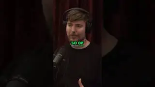 MrBeast Explains The POWER Of A Mentor
