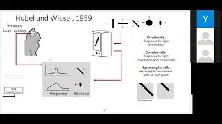 introduction (Deep learning for Computer Vision) Myanmar