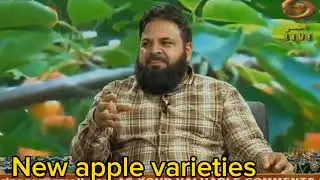 How to increase Fruit Size or Fruit Quality
