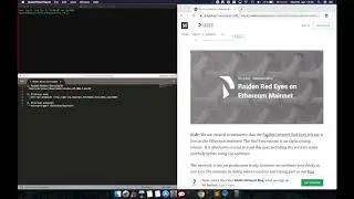 Raiden Network - How to install a Raiden node on the Ethereum Mainnet