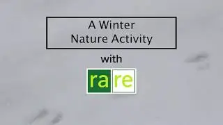 Nature Activity - Make Your Own Compostable ECO Bird Feeder