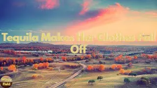 Joe Nichols - Tequila Makes Her Clothes Fall Off (Lyrics)
