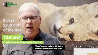 Linear Infrastructure Restricts the Movement of Animals