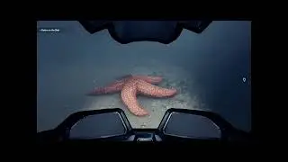 Nasao sam odlicnu Horror igru - BENEATH (EP1)