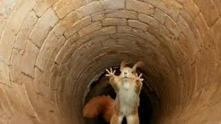 Bottomless Pit - ello