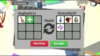 SHOULD I DO THIS TRADE HURRY!