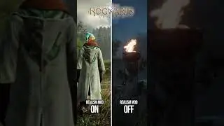 Hogwarts Legacy With Realism Mod!