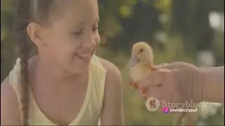 Innocence and Torment: A Tale of a Bird