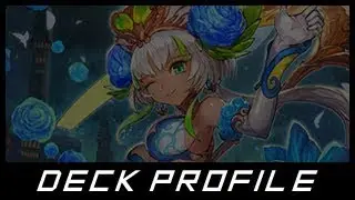 【対戦動画】 CARDFIGHT! VANGUARD: Ranunculus of Phantasmic Blue, Ahsha Deck Profile! (Neo Nectar) 【ヴァンガード】