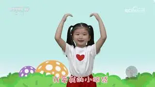 《智慧树》 20260128 | 华语动漫