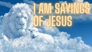 7 I AM Sayings of Jesus kjv // I am statements // #bibleverses #john #iam #iamstatements