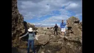 Rivergods: A day on our Seal and Penguin Island Tour