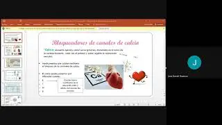 BLOQUEADORES DE LOS CANALES DE CALCIO (BCC)
