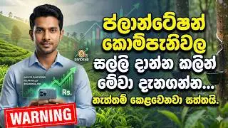 Plantation companies in Sri Lanka   #plantation #investment