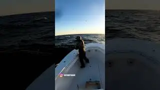 Topwater Bluefin Mayhem | New Jersey Tuna Fishing