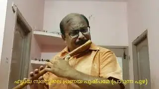 Hridaya sarassile in flute - Muraleedharan.P.P
