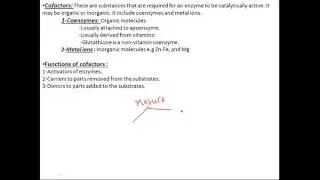 Biochemistry enzyme introduction بايوكيمستري انزيمات