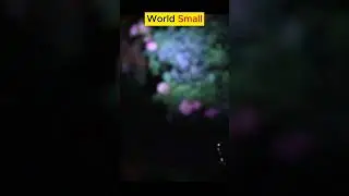 world smallest rechargeable torch light used old earphone #diy #shortvideo #trending