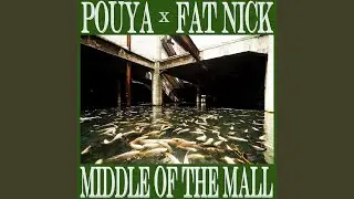 Middle of the Mall