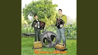 Rusga da Pedrosini