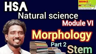 HSA Natural science module VI part 2- Stem