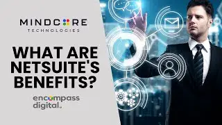 NetSuite: Unlock Massive ROI – How It Transforms Business Efficiency & Cash Flow