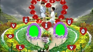 Valentines day / Rose day /propose day /green screen background video effects HD / No-54