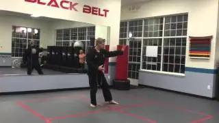 Video Taiji 98 - Yang Style 24 Form, Beijing Style