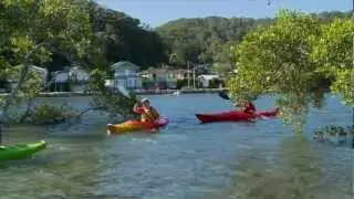 PADDLE-SAFE VIDEO