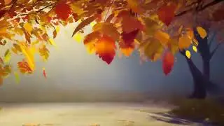 Anime Lofi Trail 🍂 Downward Leaves