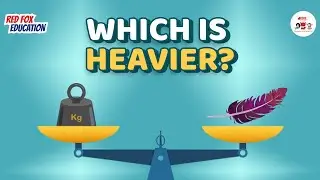 Which is Heavier? &ndash; Fun Weight Comparison Quiz for Kids | Red Fox Education