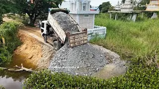 Fulll video Complete 100% Dozer D20p Is Pushing Stone Into Water And Skills Diver Truck Unloading.