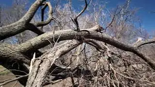 Alex Clark Rain Storm Aftermath