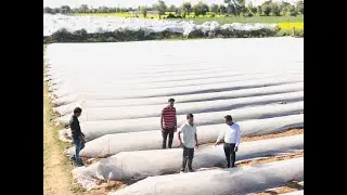 Horticulture crop orchard unit at KVK, S.D. Agricultural University, Deesa (Banaskantha), Gujarat