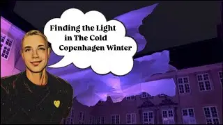 Copenhagen Light Festival and Dining Week - Finding the light in the cold Copenhagen Winter