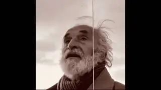 Prostul le știe pe toate !!!