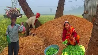 এইতো চলে আসছে আমাদের সবাইকে  আলো দিতে//শিম নিয়ে হাটে যাবে//  rural India  village vlog