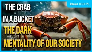 Why We Pull Each Other Down? : The Crab Mentality and Lessons on Cooperation vs. Envy