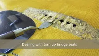 Evaluating a busted Martin guitar bridge seat