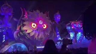 Martin Garrix Lions In The Wild EDC Orlando 2022 🔥🥰