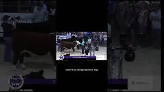 Grand Drive Michigan Livestock Expo