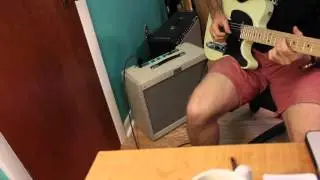 Tyler Amps 20.20