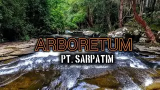 Arboretum PT. Sarpatim