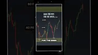 You Learned Swing Trading Wrong - Strength vs Time with #truealgo #livecoaching #alogtrading
